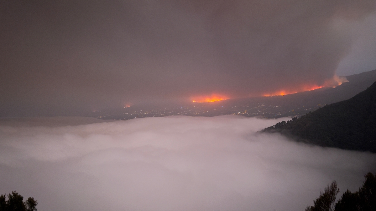 Waldbrände auf Teneriffa