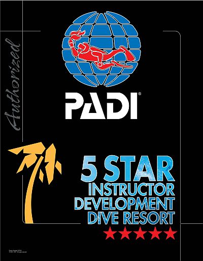 logo padi gold palm 5star idc