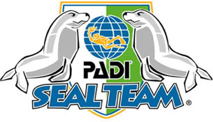 seal team logo